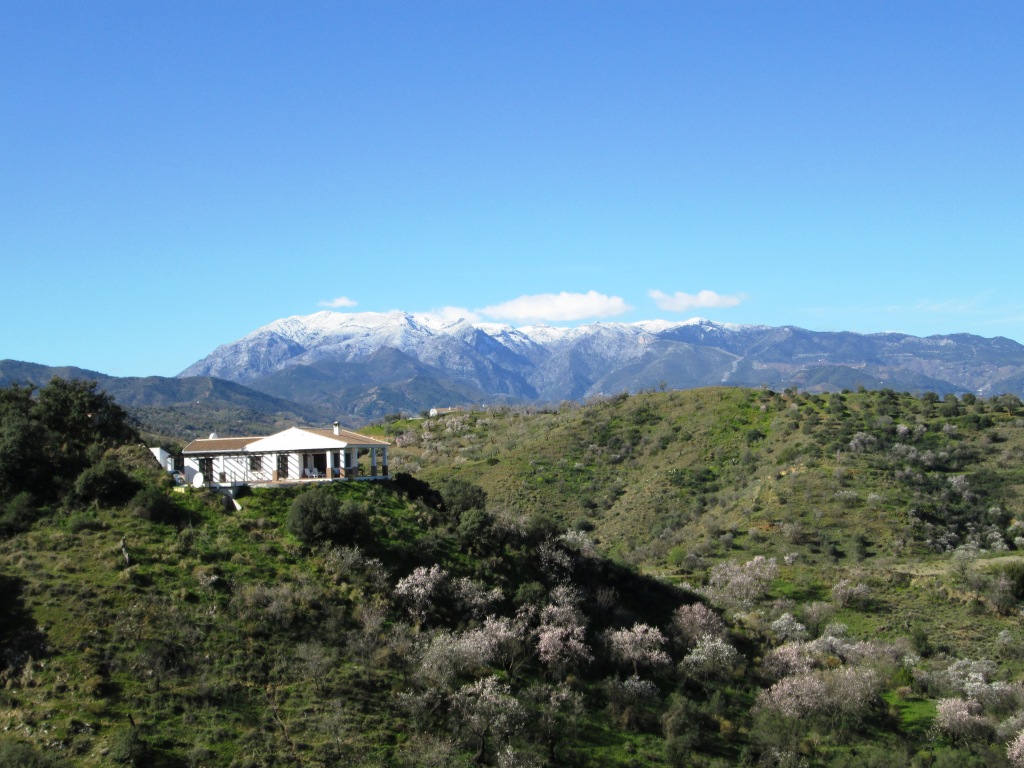 Guaro in Winter Guaro in Winter