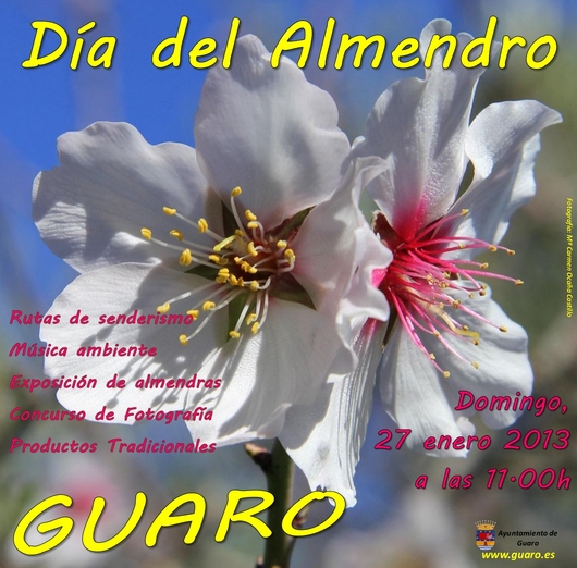 Dia del Almendro, Guaro 27 january 2013, 27 enero 2013 Dia del Almendro, Guaro 27 january 2013, 27 enero 2013
