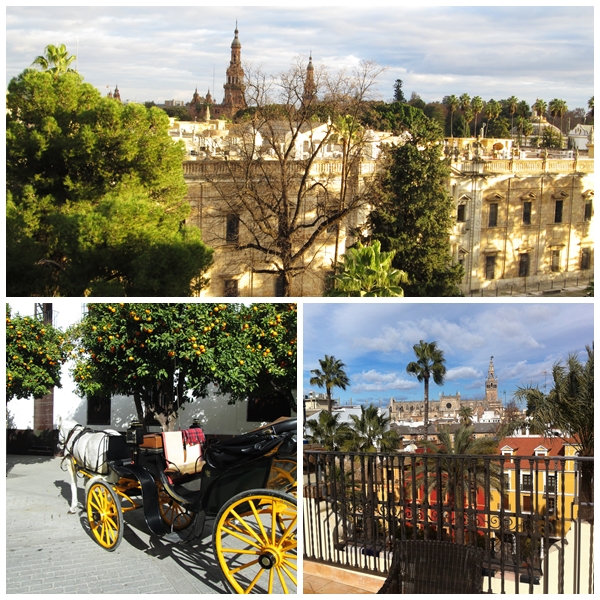 Seville in Winter Seville in Winter